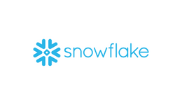 Snowflake_300x150
